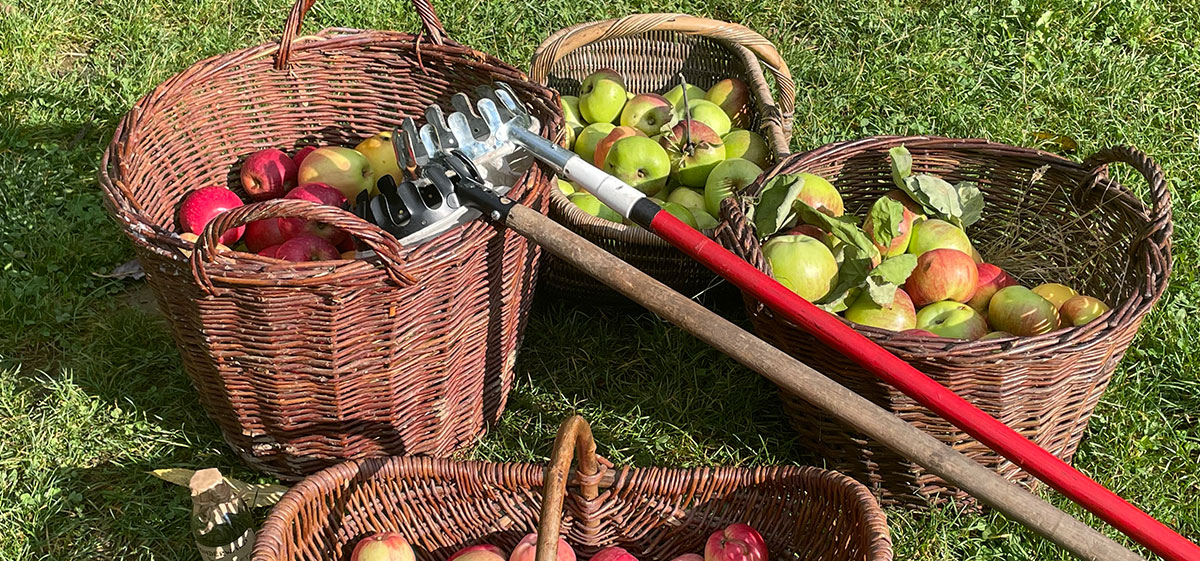 Schneckenhaus Grevenbroich
