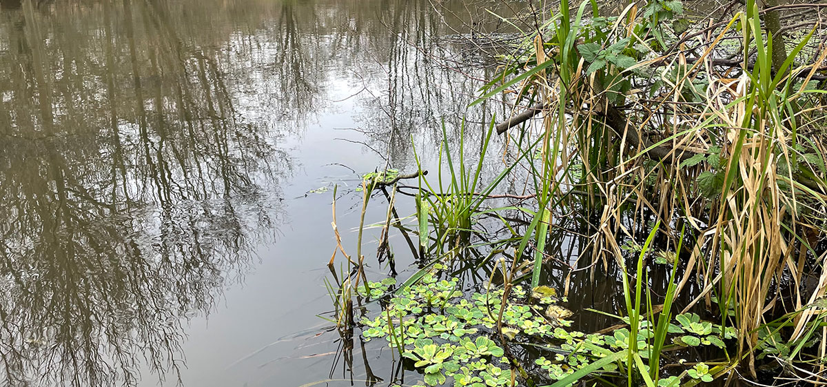 Schneckenhaus Grevenbroich